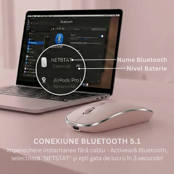 Mouse Office Premium 3